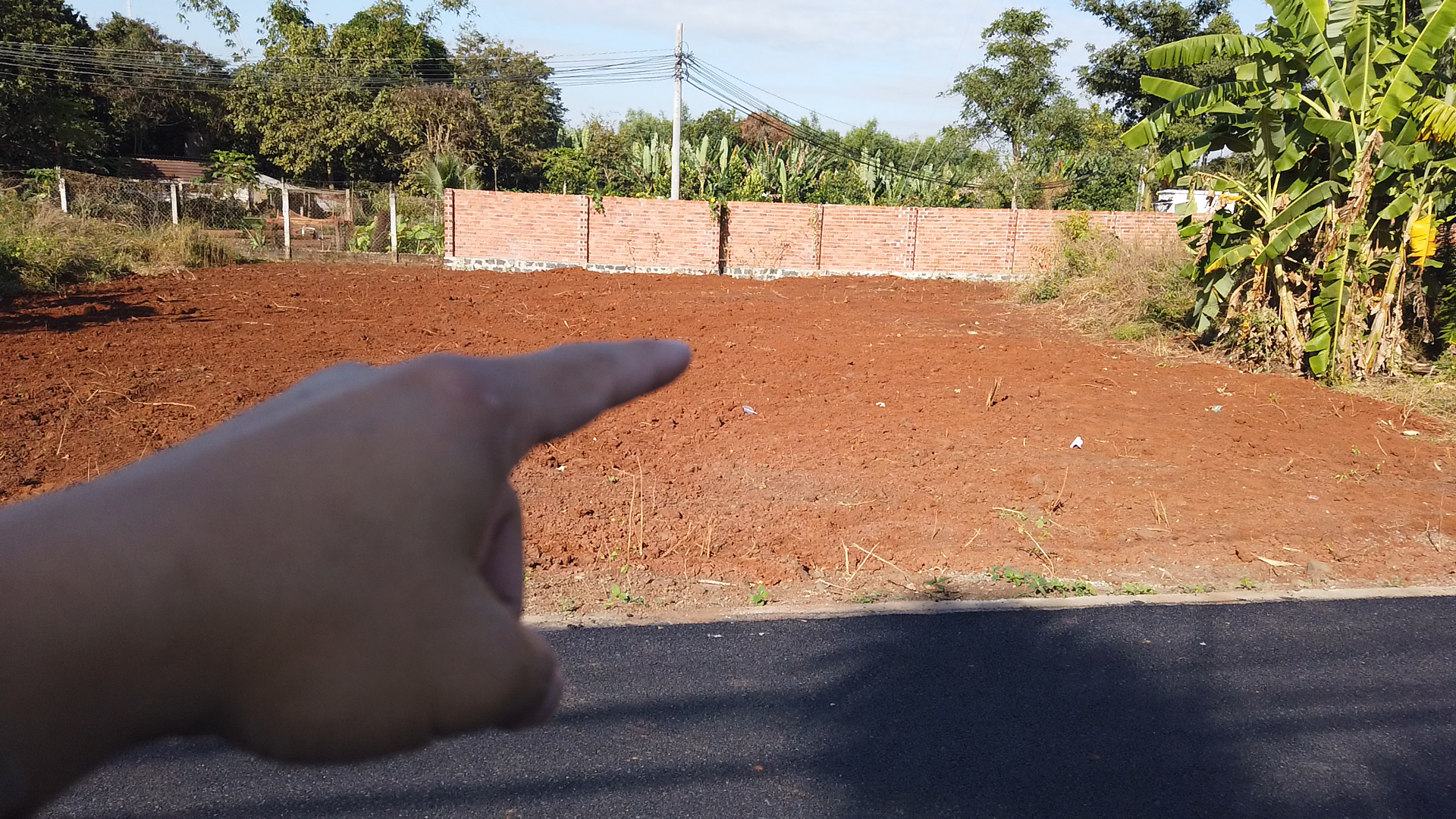 Bán đất mặt tiền đường nhựa Phạm Văn Hy Đất Đỏ - Cách QL55 ~ 50m